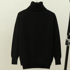 Turtleneck Women Sweater Winter Warm