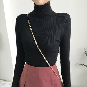 Turtleneck Women Sweater